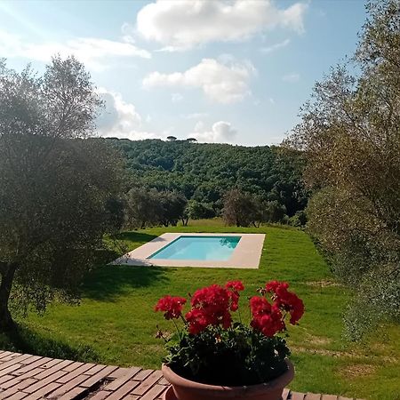 Podere Lucignano Secondo Agriturismo Gaiole in Chianti Ngoại thất bức ảnh