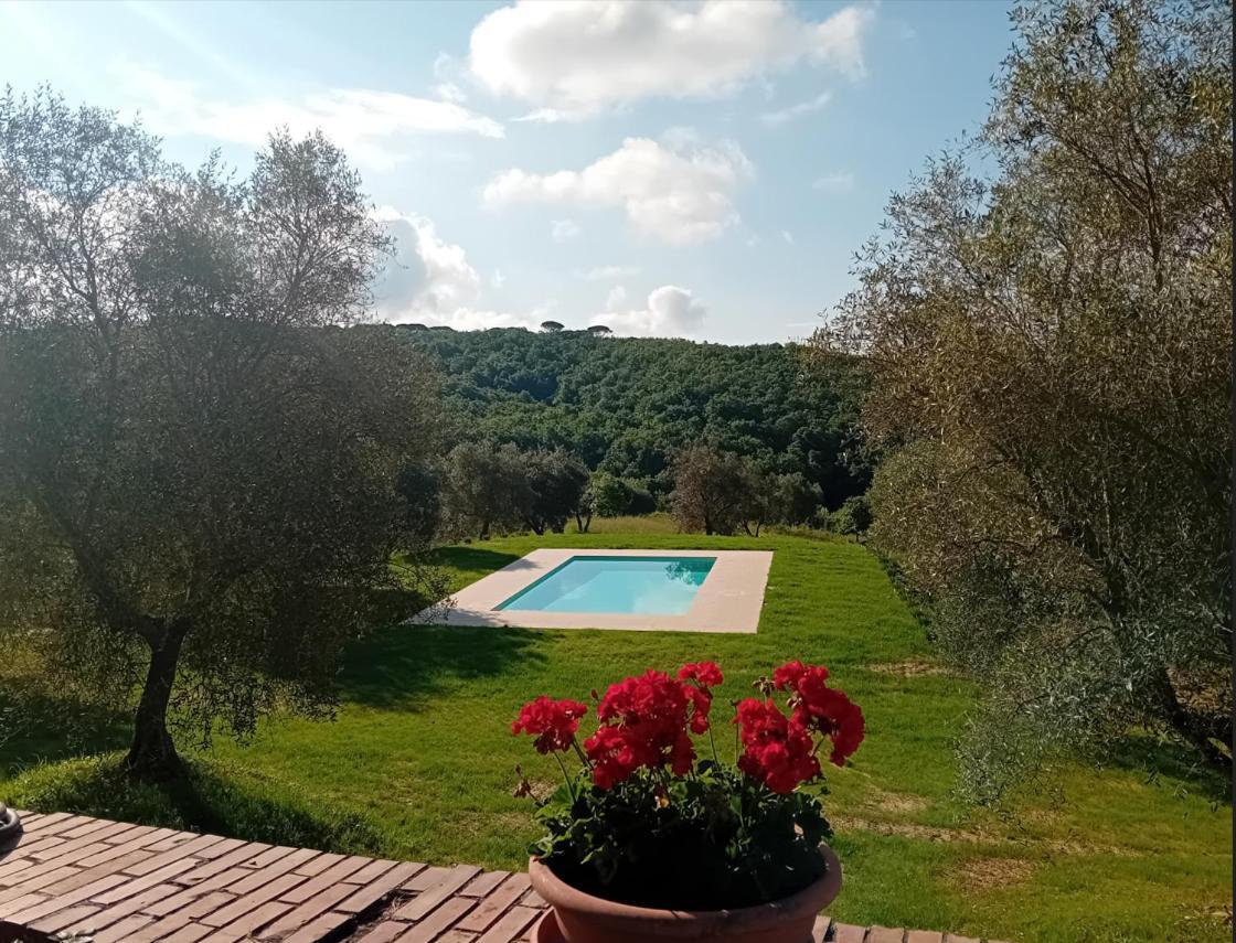 Podere Lucignano Secondo Agriturismo Gaiole in Chianti Ngoại thất bức ảnh
